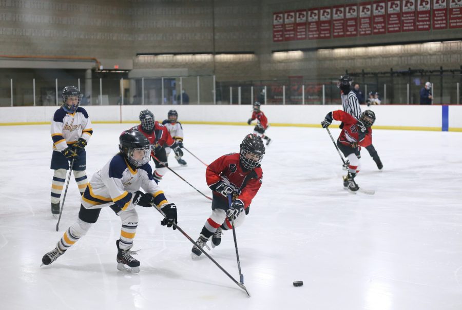 Girls' Youth Hockey