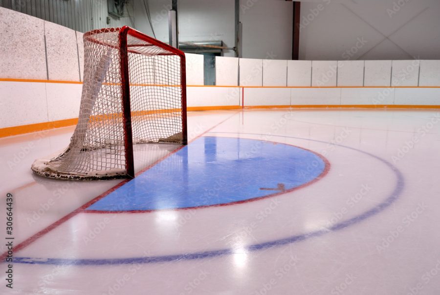 Hockey or Ringette Net and Crease in the Rink